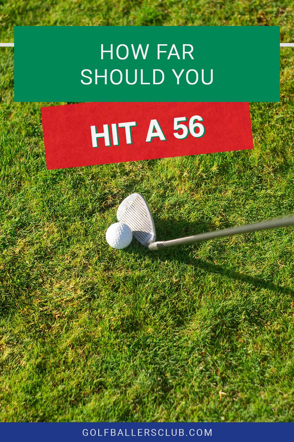 A golf iron touching a golf ball on green grass - How Far Should You Hit A 56